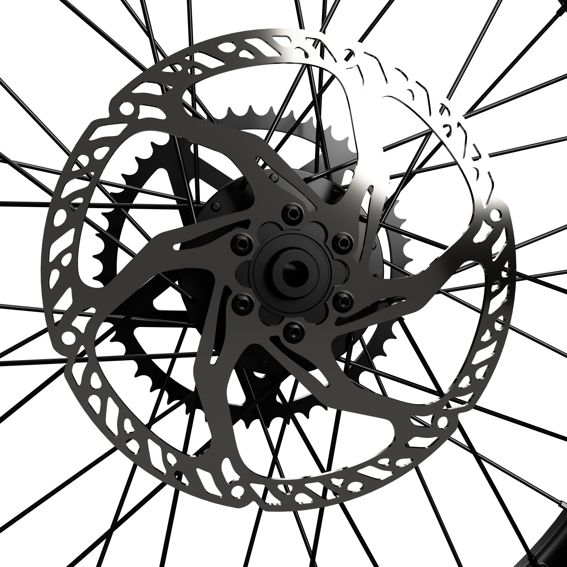 Prickly 220mm Fixed Rotor for Talaria