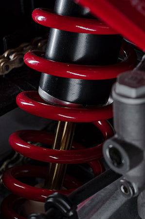 Arctic Leopard E-XE 880 (LOCAL PICKUP ONLY)