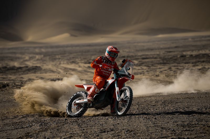 Arctic Leopard E-XE 880 (LOCAL PICKUP ONLY)