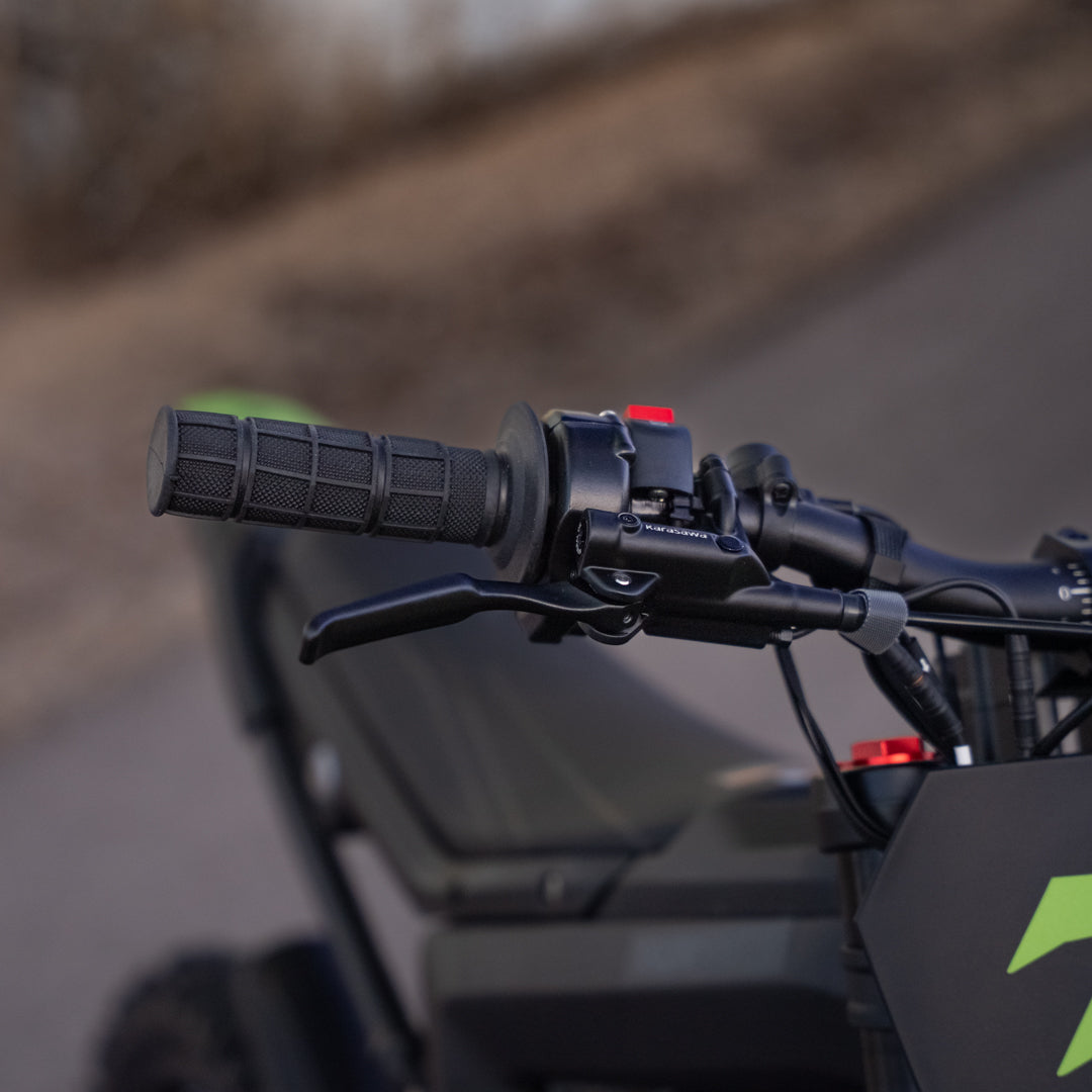 Rawrr Mantis Mini R - 72v Electric Motorcycle (Local)