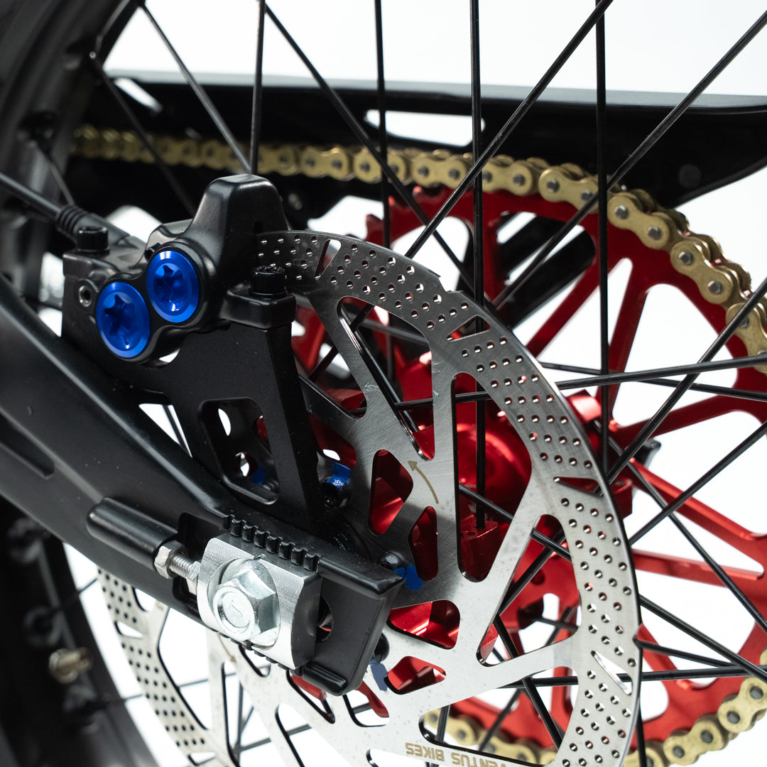 2025 Ventus One + (Plus) (Local)