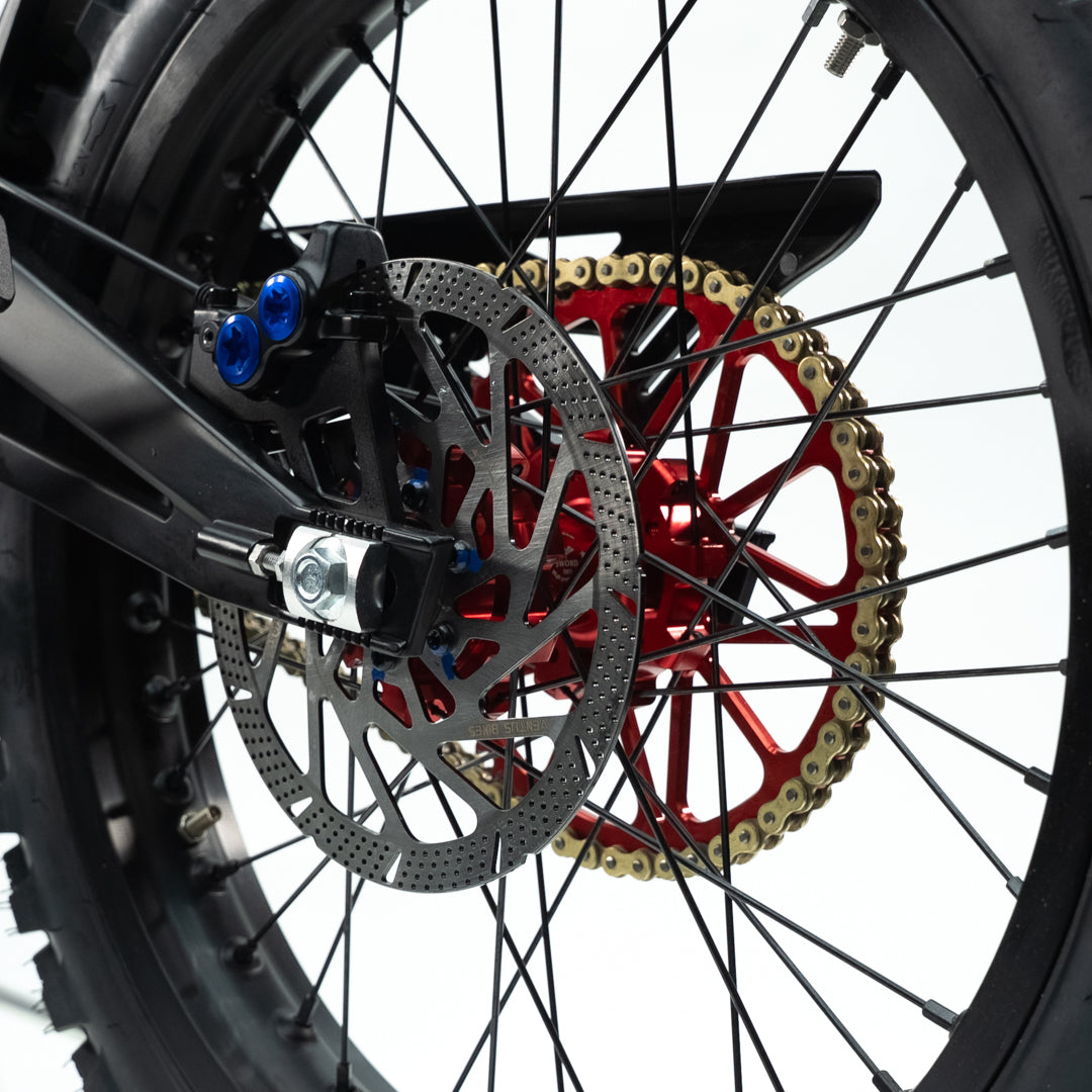 2025 Ventus One + (Plus) (Local)