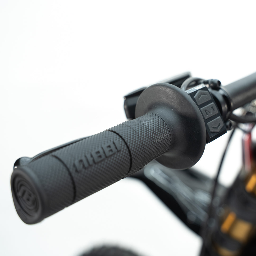 Arctic Leopard XE Pro S (Cloud Leopard) | 72v 55ah 20kw | Electric Dirt Bike