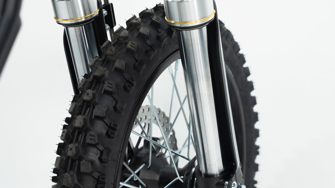 ETM RTR Sport Electric Pit Bike