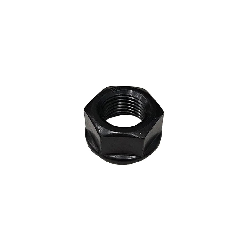 E Ride Pro - OEM Motor Pulley Nut