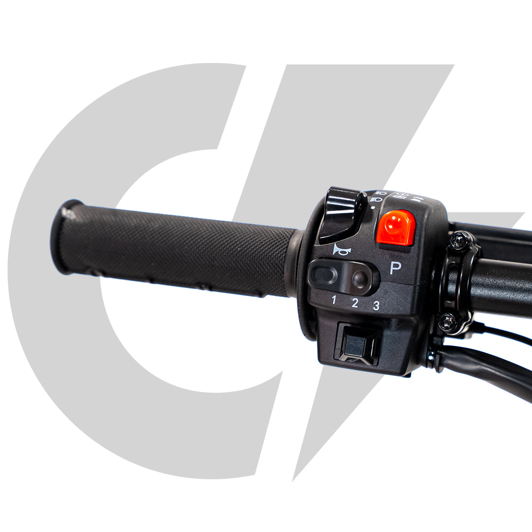 Arctic Leopard XF Pro | 72v 35ah 12kw | Electric Dirt Bike