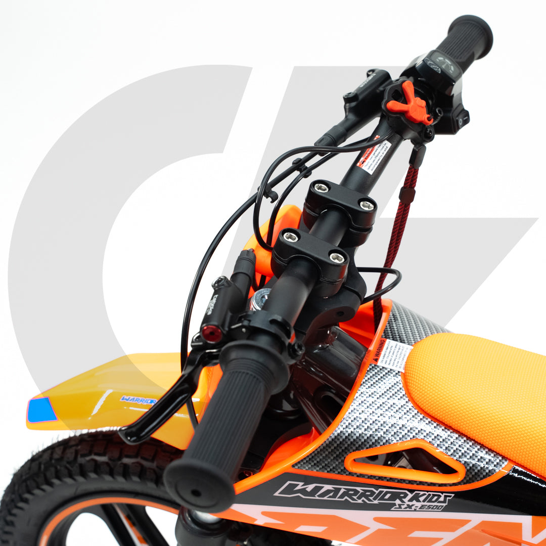RFN Warrior SX-E500 Kids Electric Dirt Bike (Local)