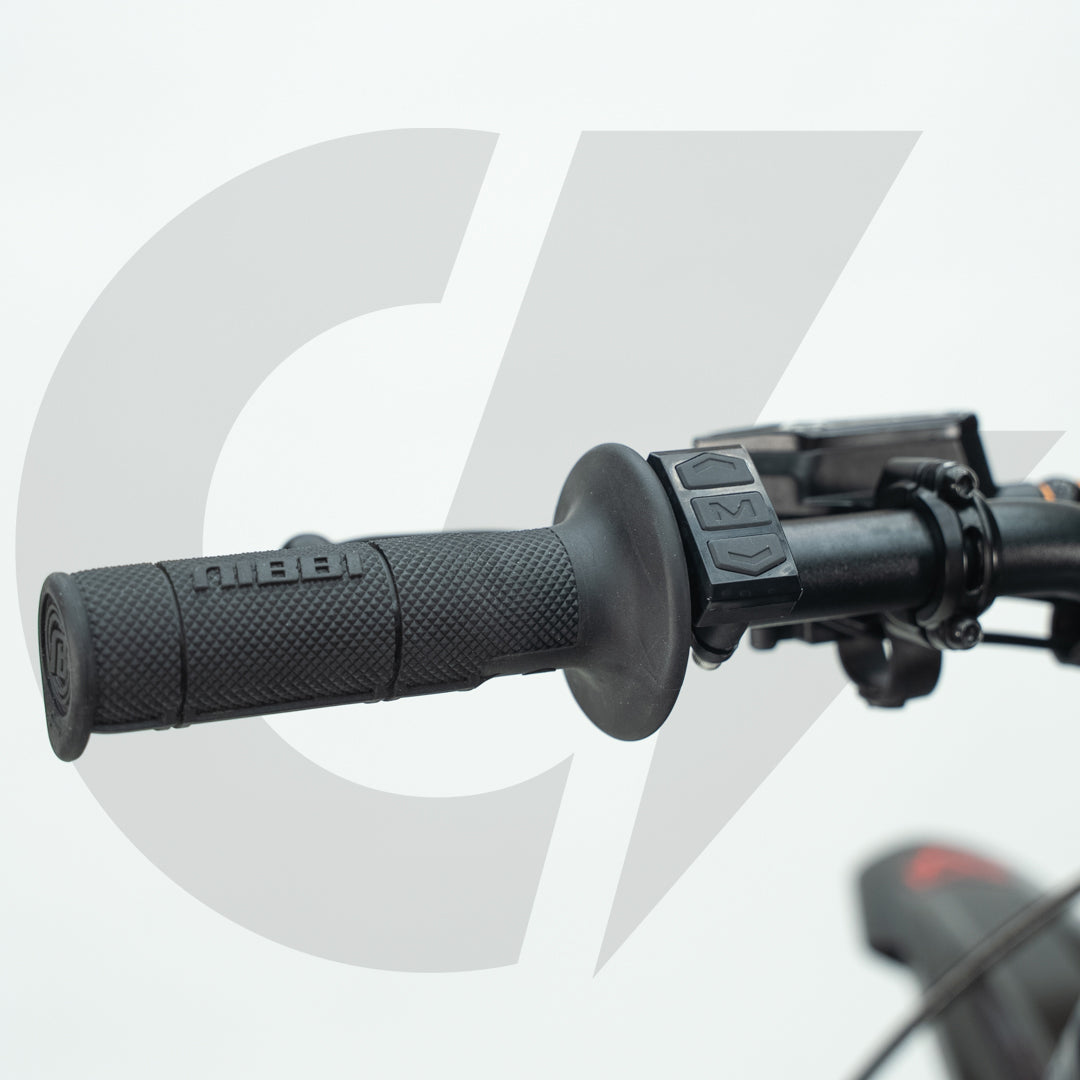 Upgraded Arctic Leopard XE Pro S (Local)