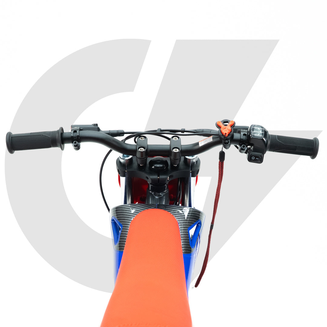 RFN Warrior SX-E500 Kids Electric Dirt Bike (Local)