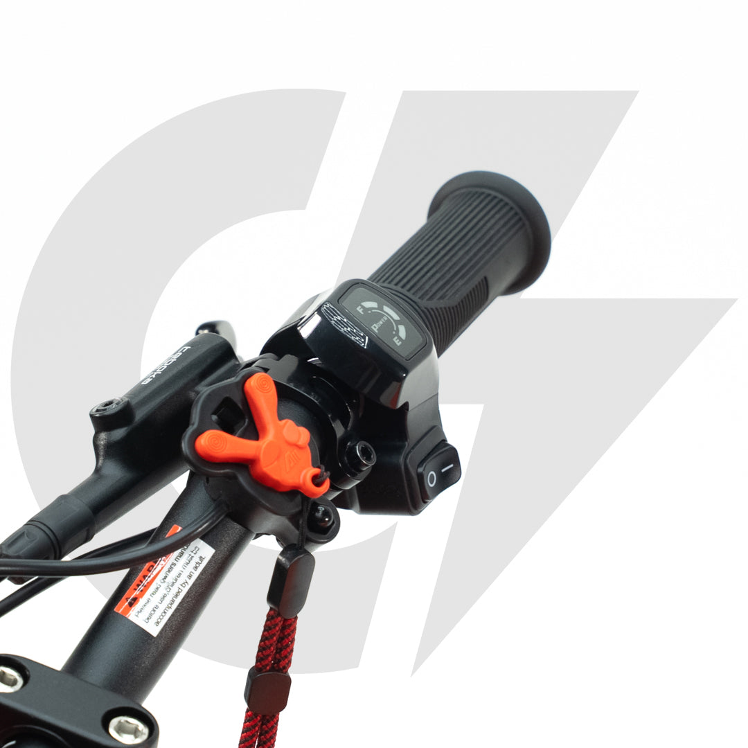 RFN Warrior SX-E500 Kids Electric Dirt Bike (Local)