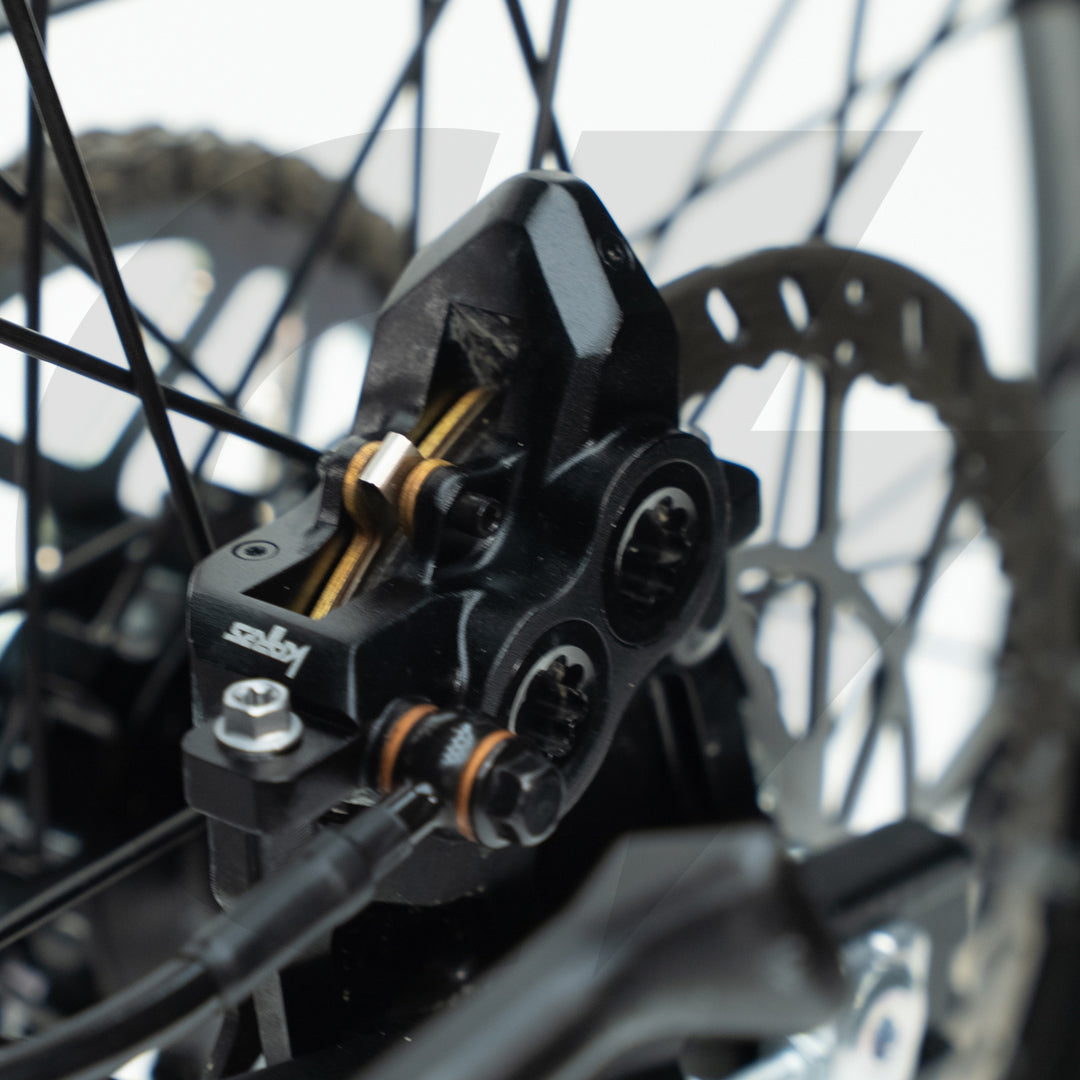 Upgraded Arctic Leopard XE Pro S (Local)