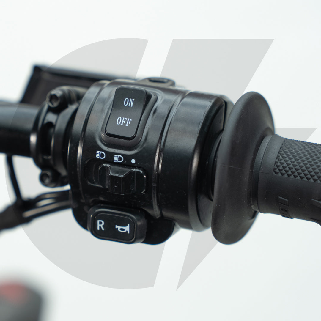 Upgraded Arctic Leopard XE Pro S (Local)