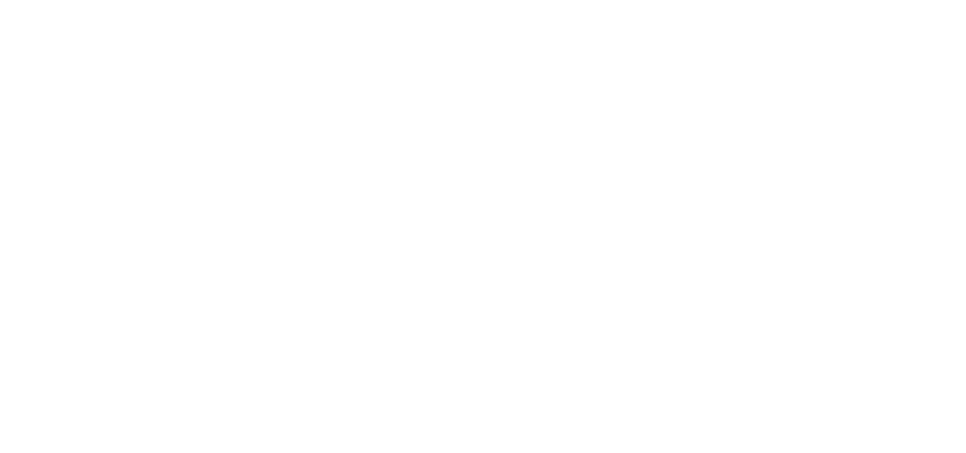 EBMX
