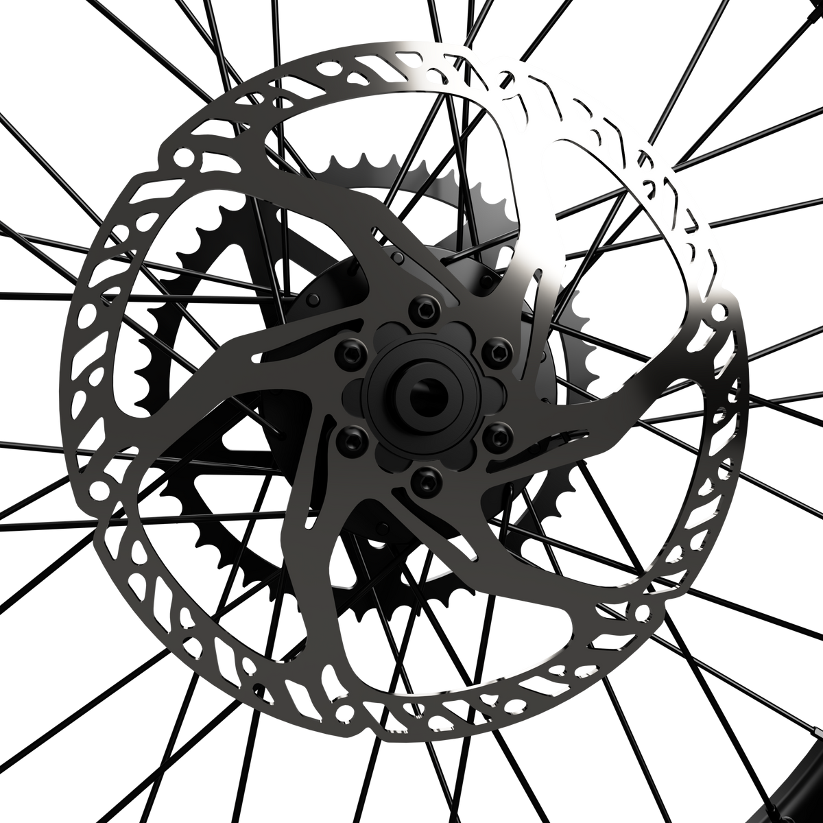 Prickly 220mm Fixed Brake Rotor – Surron Light Bee