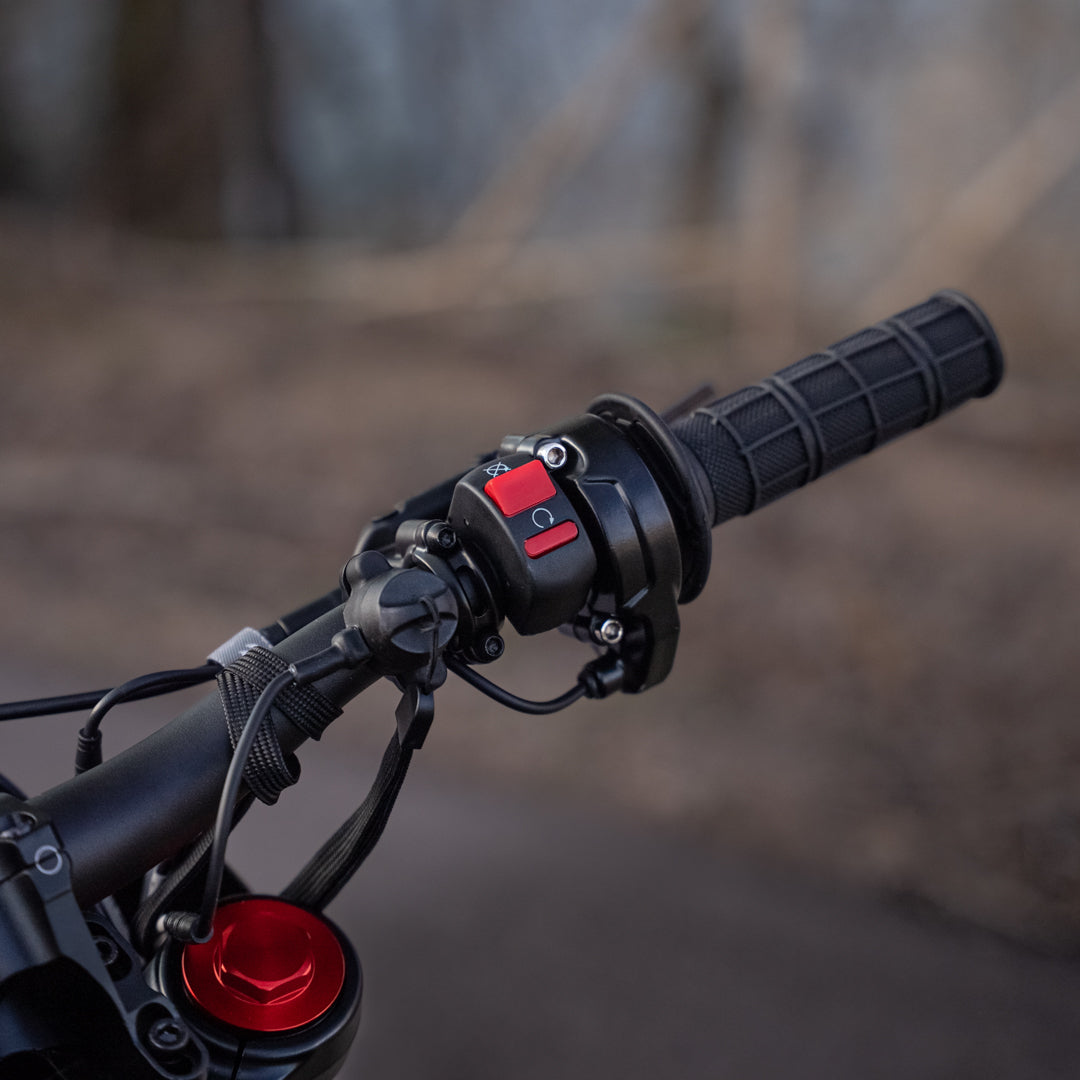 Rawrr Mantis Mini R - 72v Electric Motorcycle