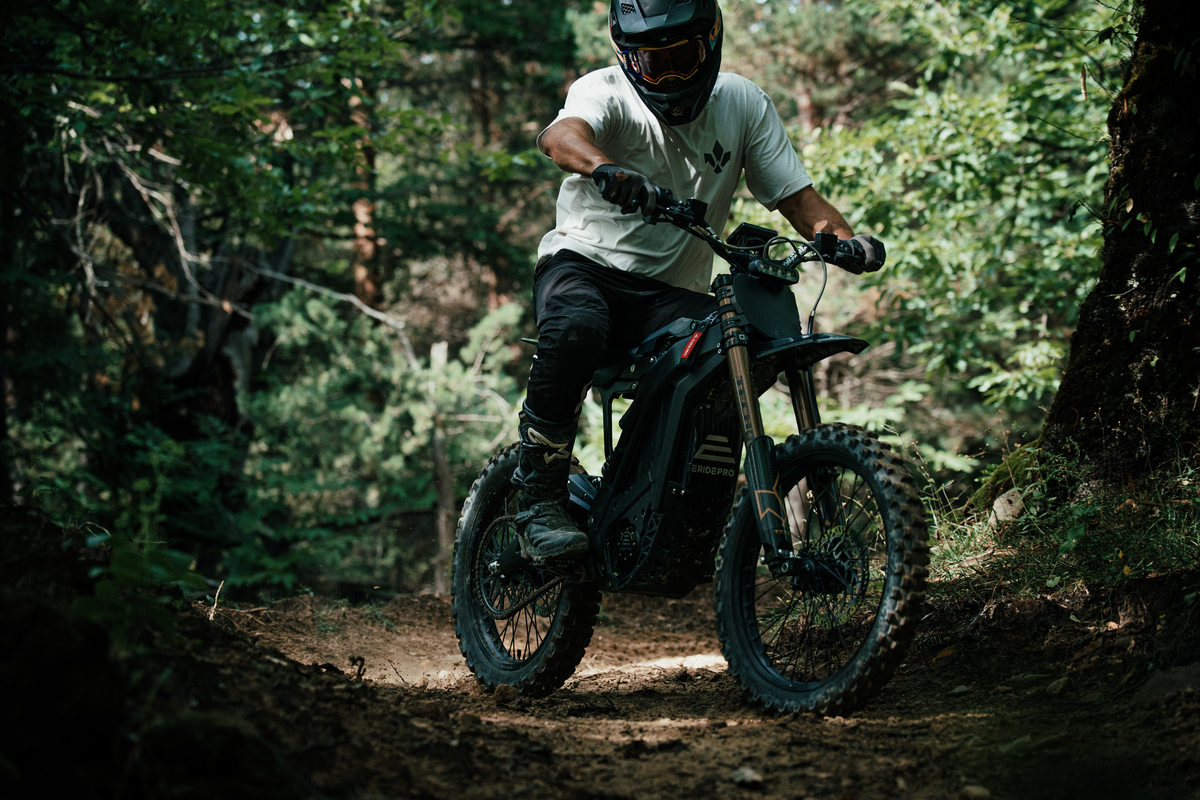 Tech Suspension E39 Racing Kashima E-Moto Fork