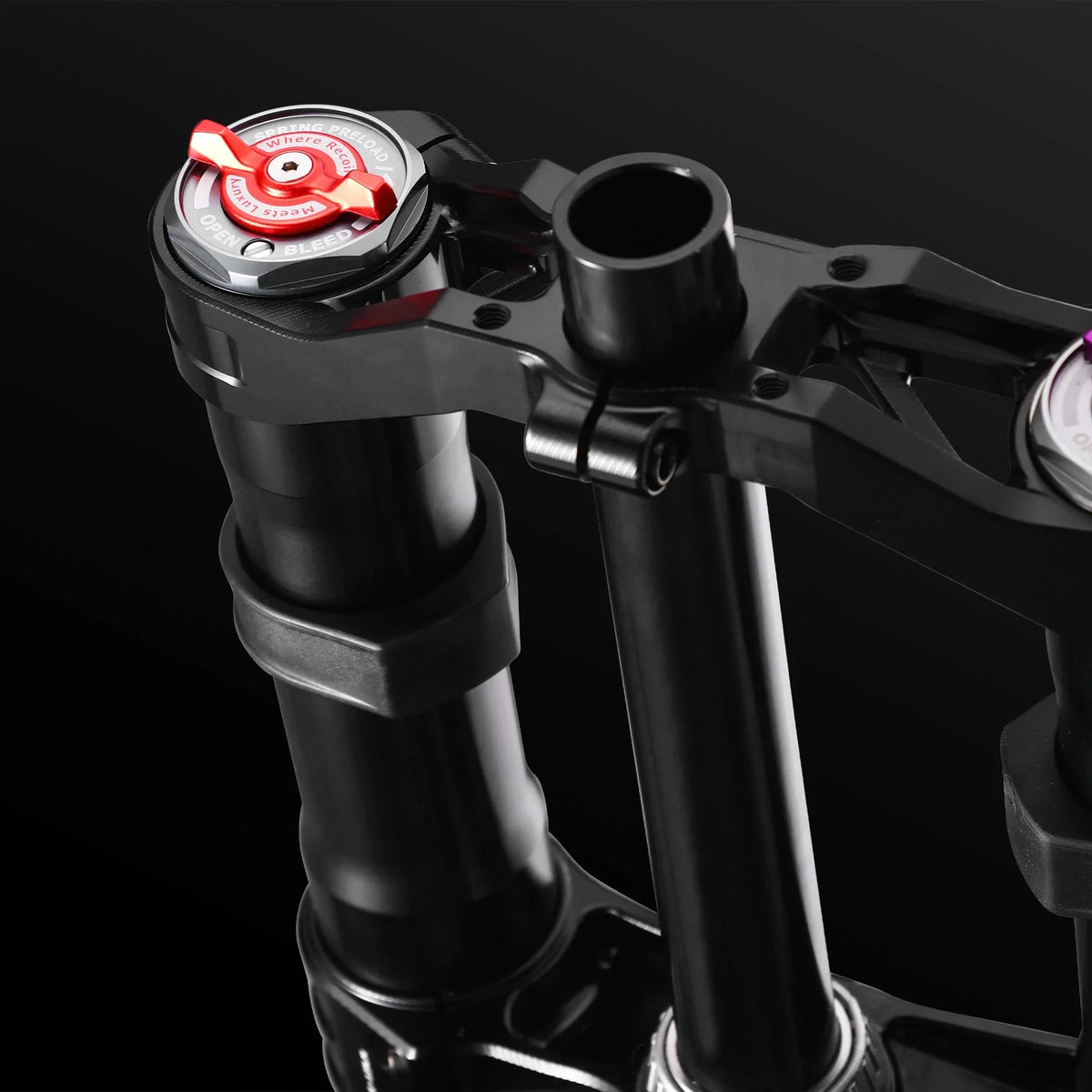 RFloXa HAWK36 MAX Fork – Arctic Leopard XE Pro S | 228mm
